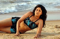 Sherlyn Pinto Spicy Photos